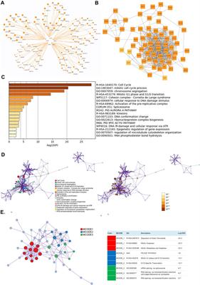 Differential Expression of E2F Transcription Factors and Their Functional and Prognostic Roles in Human Prostate Cancer